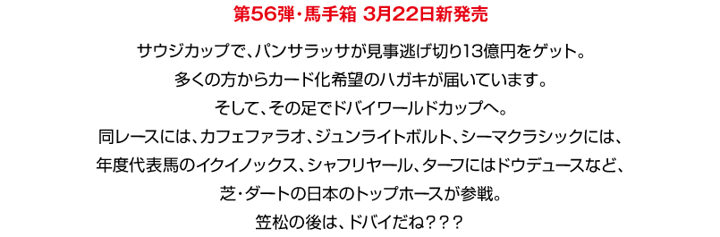 新品正規品 馬手箱 カードファイル 当選品 ensipedia.id